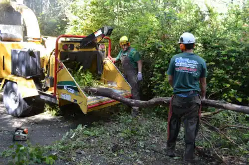 tree services Grass Valley